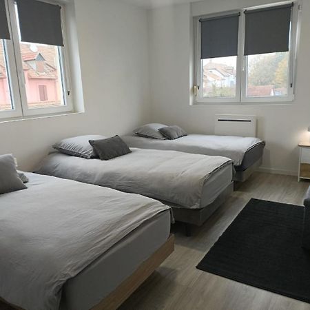 Appartement Entier F3 Renove - Petite Pause A Selestat Exterior photo