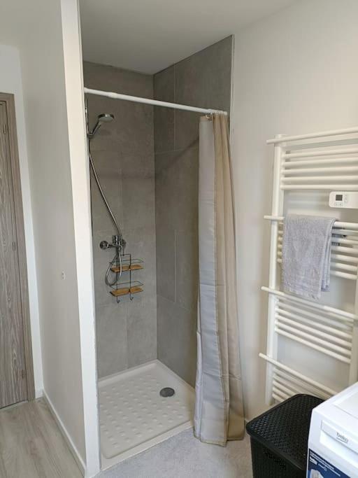 Appartement Entier F3 Renove - Petite Pause A Selestat Exterior photo